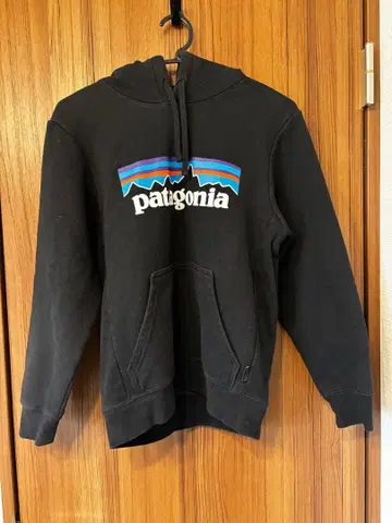 Patagonia 블랙 후드티