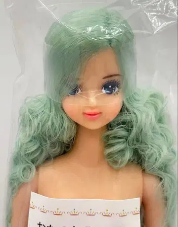 사야카 오타노시미 인형 리카짱 캐슬 제니 프렌드 헤드만