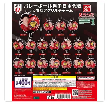 배구 남자 일본 대표 아크릴 참 8개 세트