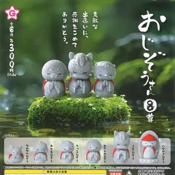 전 6종 컴프 세트 오지조상 8존 가챠