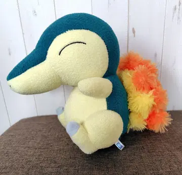 레어 말하는 봉제 인형 히노아라시 타카라토미 포켓몬스터