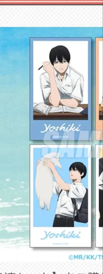 제비뽑기당 빛이 죽은 여름 요시키 덤 2종