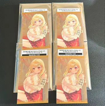 니지산지 비주얼 카드 호시카와 사라 4점