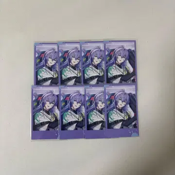 니지산지 호시미치 쇼 폴라로이드