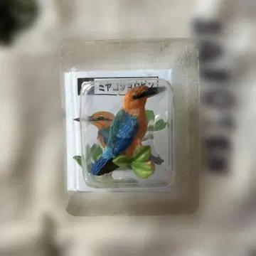 Kabaya 미야코 쇼빈 피규어