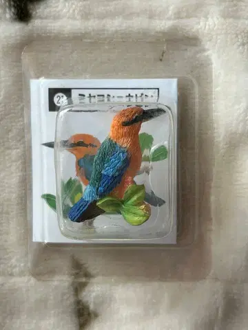 Kabaya 미야코쇼빈 피규어 일본의 작은 새