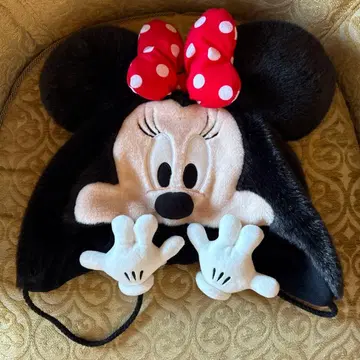 디즈니 미니 팬캡