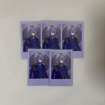 니지산지 호시미치 쇼 폴라로이드