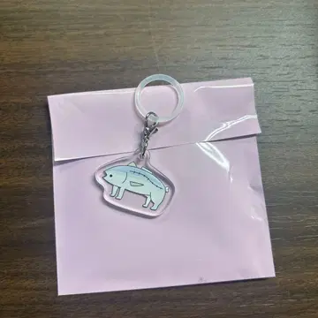 사쿠라자카46 마츠모토 카즈코 메지루시 참