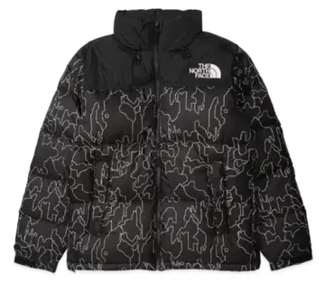 L 사이즈 The North Face Novelty Nuptse