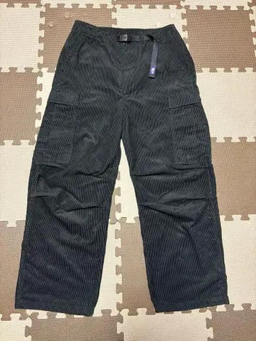 THE NORTH FACE PANTS