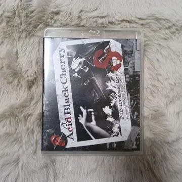 Acid Black Cherry 2015 Livehouse tour