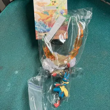 포켓몬 스윙 컬렉션 4 메가 루카리오