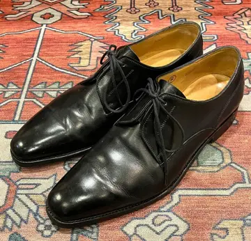 존 롭 플레인토