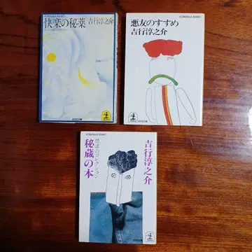 요시유키 준노스케 코분샤 문고 3권 세트입니다.