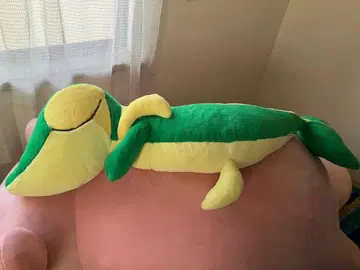 첫 꿈 트리토돈 포켓몬 등신대 실물 크기