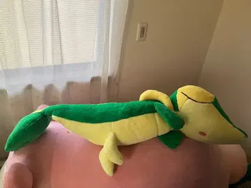 첫 꿈 나무지 용 포켓몬 등신대 실물 크기 한정판 초레어