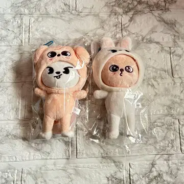 StrayKids Leebit PuppyM 백참