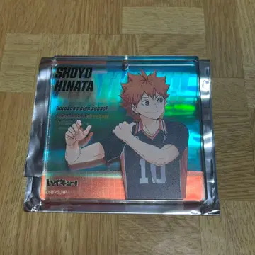 히나타 쇼요 쇼와노트 오로라 브로키