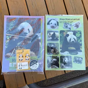 우에노 동물원 팬더 샤오샤오 레이레이