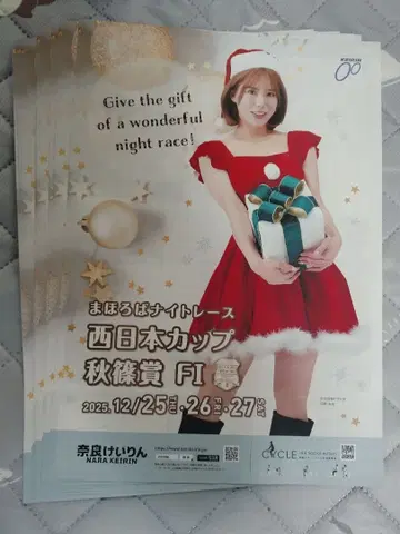 히노 미라이 씨 A4 전단지 10장 묶음 걸즈 케이린 나라 케이린 2