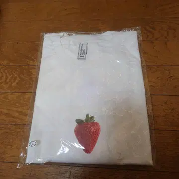 프레스티지 어패럴 T셔츠 하치카케 우미 모델 2XL