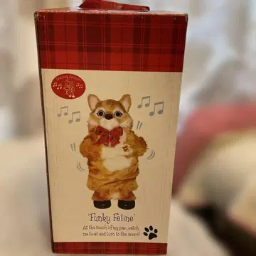 춤추는 댄싱 캣 댄싱 애니멀즈 펑키 페 라인