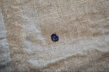 브라운 패브릭 소재 목걸이