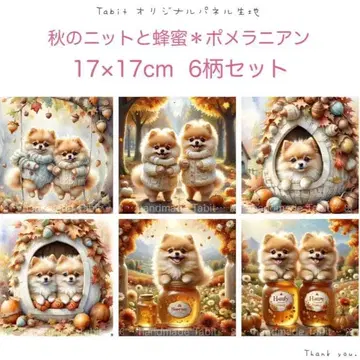 접수 포메라니안