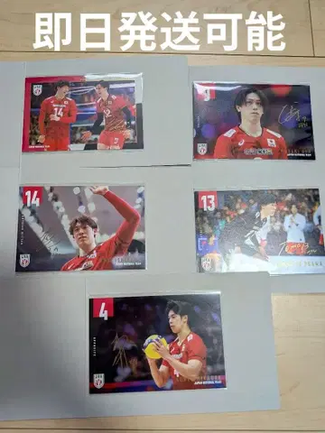 남자 배구 일본 대표 가챠 엽서 이시카와 유키 타카하시 란