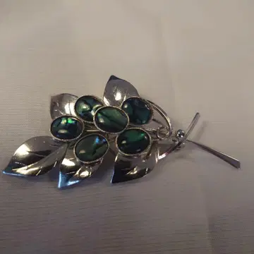 다섯 개의 검은 나비 조개! 멋진 브로치