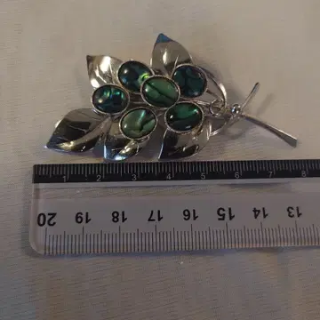 다섯 개의 검은 나비 조개! 멋진 브로치