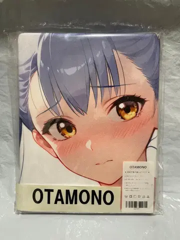 21177 미 나데시코 루리쨩