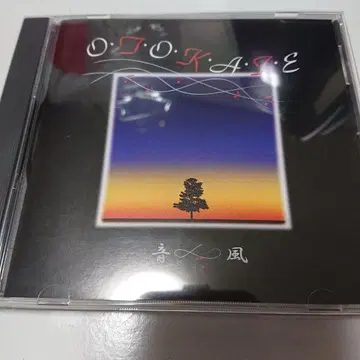 미사용품! 초레어!!! [사와다 타이시] 오토카제 OTOKAZE