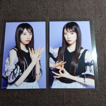 노기자카 야타 모에카 same numbers 미니 브로마이드 세미 컴프