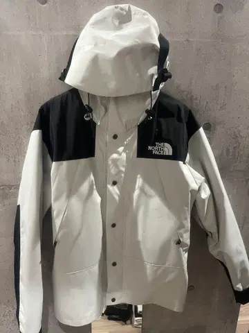 THE NORTH FACE 고어텍스 마운틴 후드티 L 사이즈