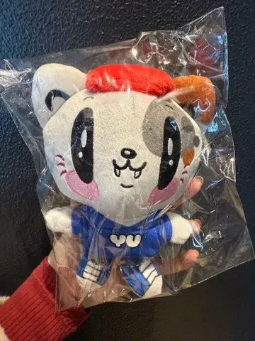 제 고양이 봉제 인형