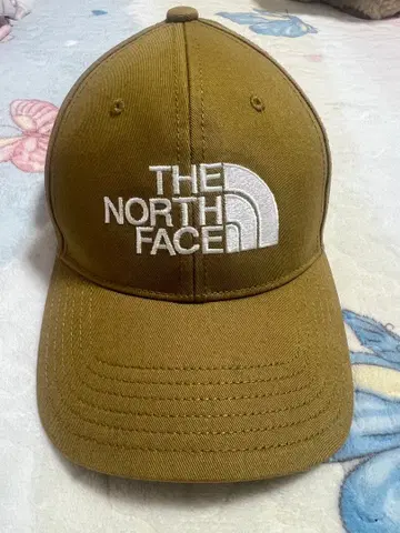 THE NORTH FACE 캡