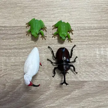 네이처 테크니컬러 생물