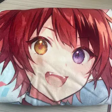 스토푸리 리이누 타월