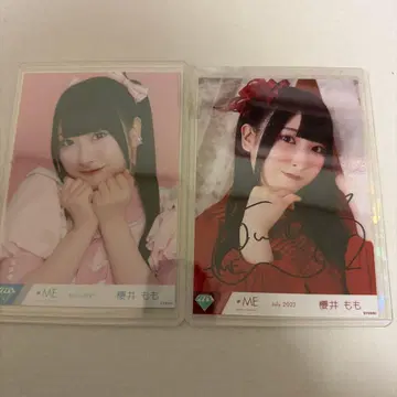 사쿠라이 모모 생사진 친필