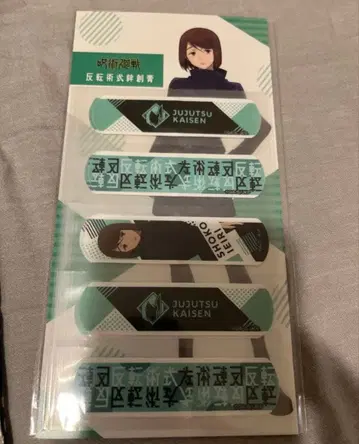 이에이리 쇼코 반전술식 반창고 주술회전전 회옥 옥절 시부야 사변