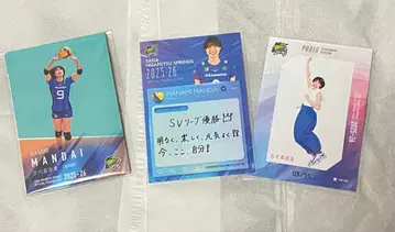 히사미츠 스프링스 반다이 마나미 트레카세트