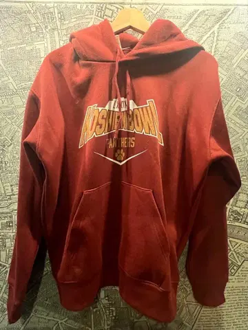 리츠메이칸 팬서즈 고시엔 보울 한정판 후드티