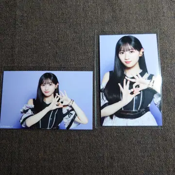 노기자카 카와사키 벚꽃 same numbers 미니 브로마이드 세미 컴프