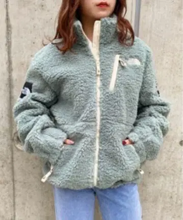 THE NORTH FACE 보아 블루종 리모 플리스 자켓