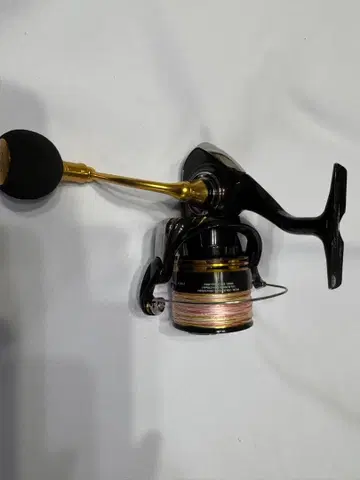 다이와 레갈리스 LT 5000-CXH