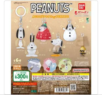 스누피 메지루시 액세서리 컴플리트 세트 전 6종 찰리 브라운