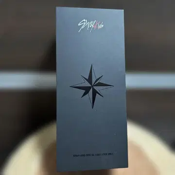 Stray Kids 공식 응원봉