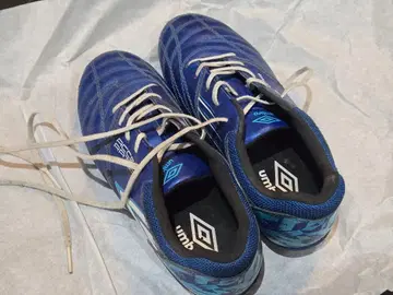 umbro 스파이크 축구 트레이닝 블루 21.0cm